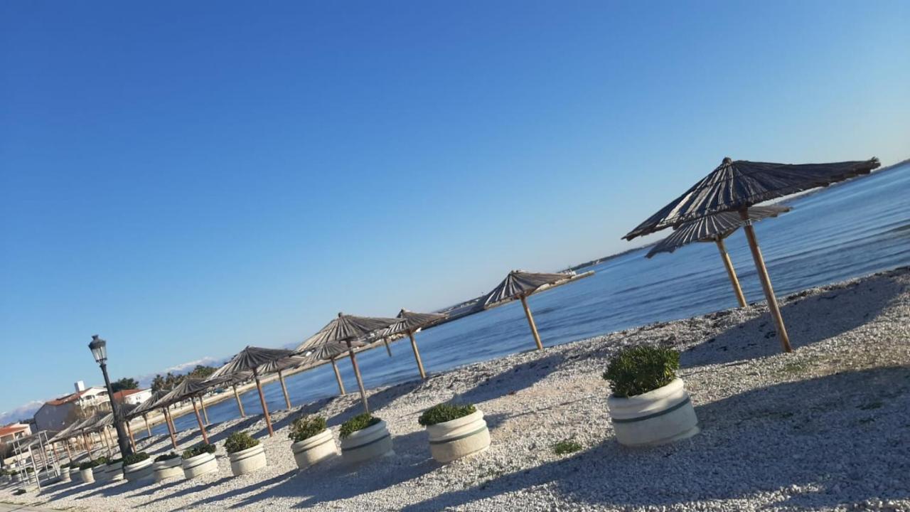 Apartmani Zarko Vir Esterno foto